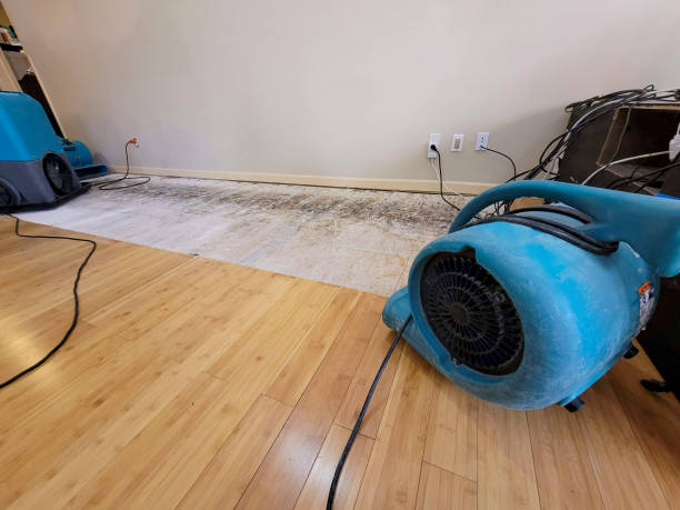 Reliable Basement Flood Cleanup contractor in Stoneham, MA by Hirex Water Damage