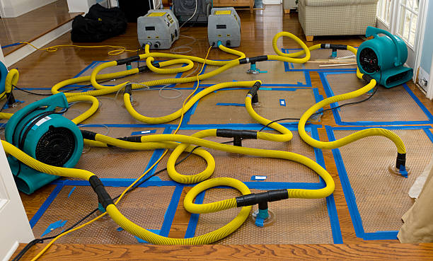 Professional Basement Flood Cleanup technician working in Stoneham, MA